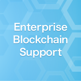 Enterprise Blockchain Support