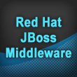 Red Hat JBoss Enterprise Middleware
