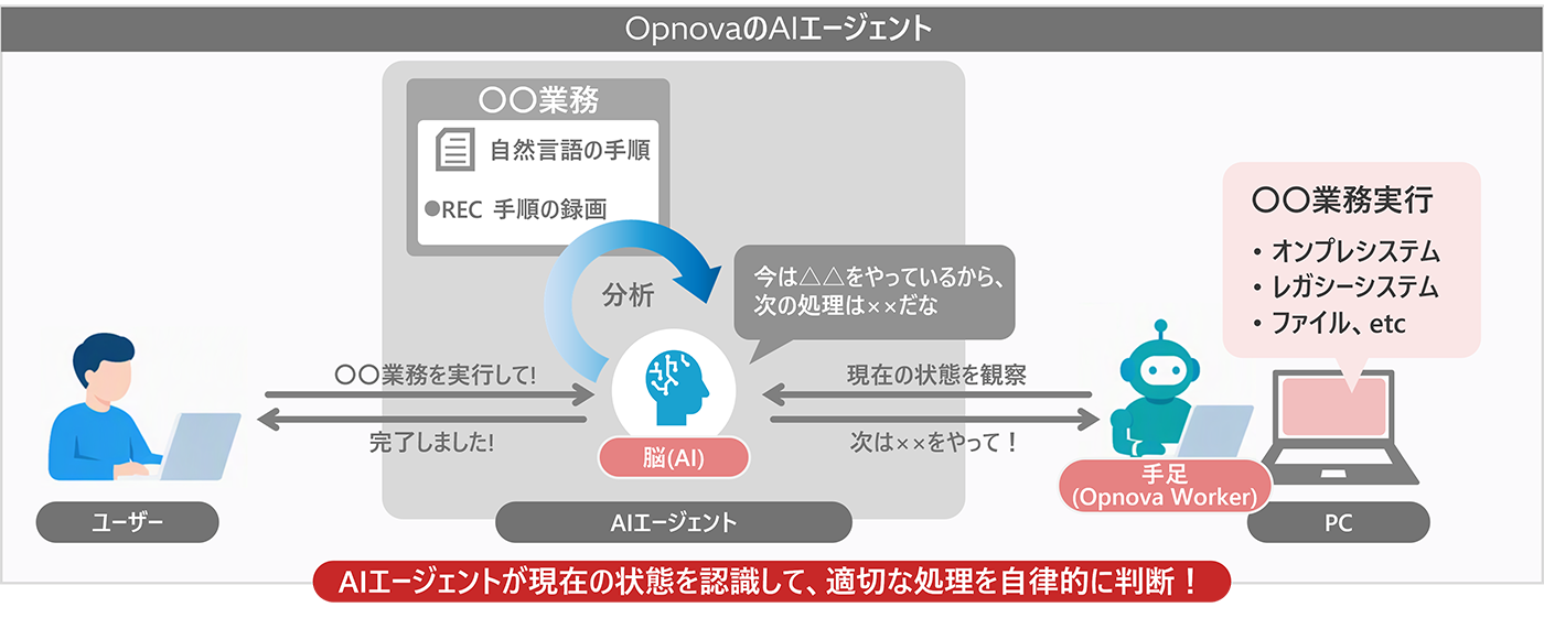 「Opnova」の活用イメージ