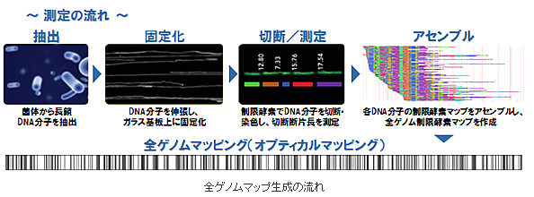 全ゲノムマップ生成の流れ