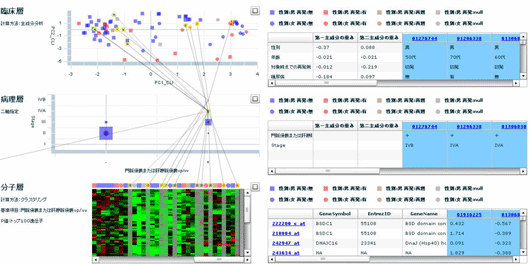 臨床-オミックス分子病態の２次元３層表示