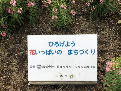 生態系保全活動の様子