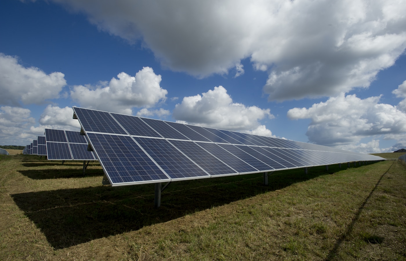 緑地に設置された太陽光発電パネル