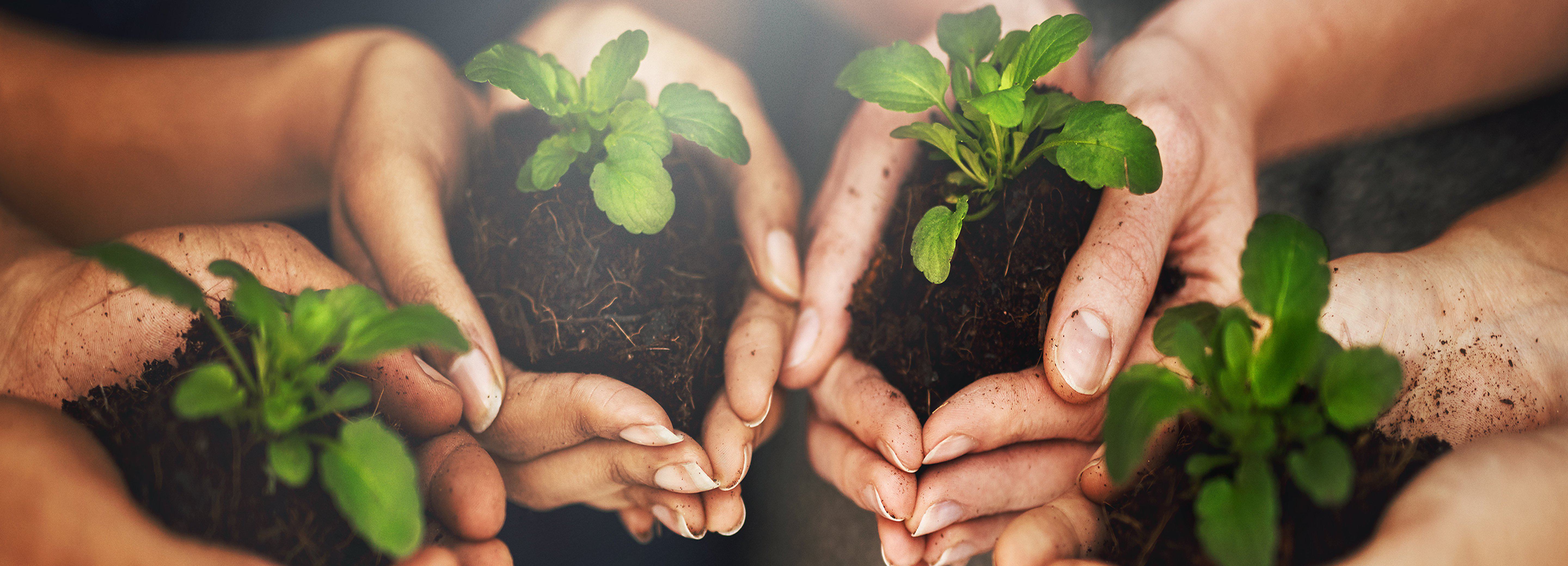 グループ会社のサステナビリティ