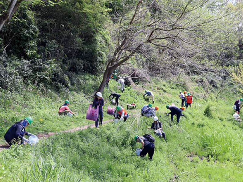 生態系保全活動の様子