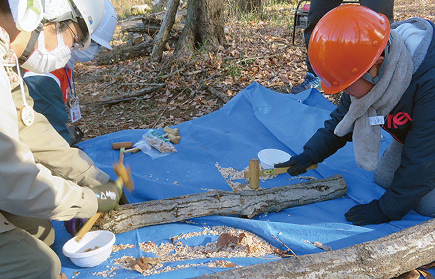 生態系保全活動の様子