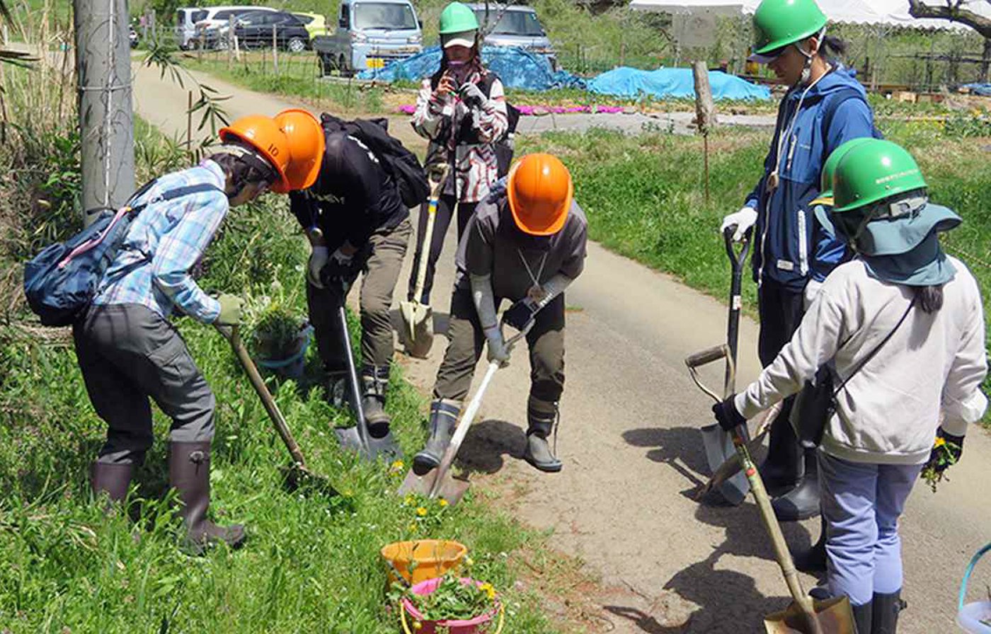 生態系保全活動の様子