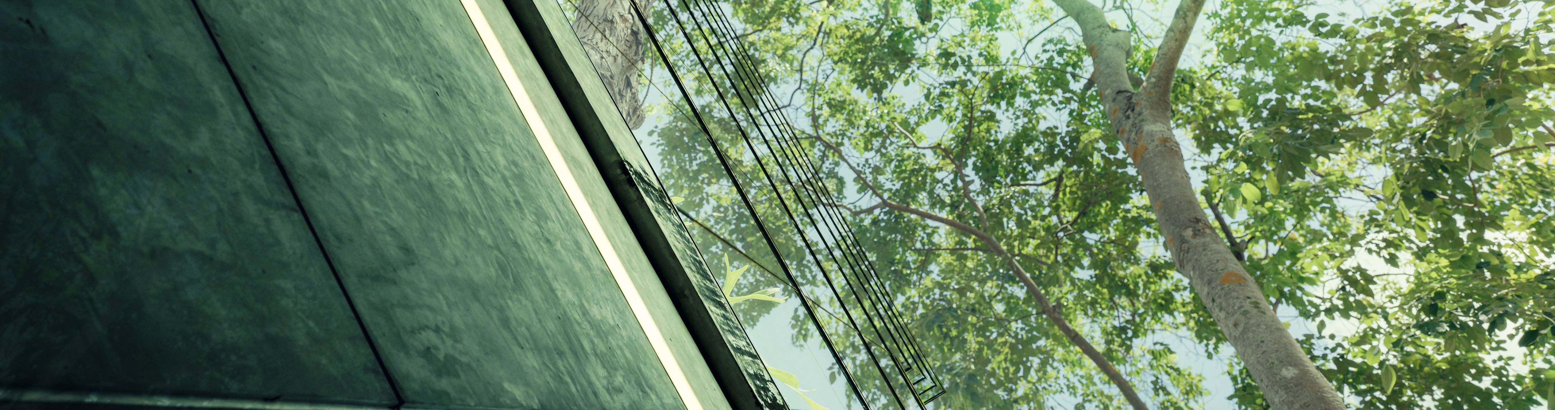 トップメッセージ