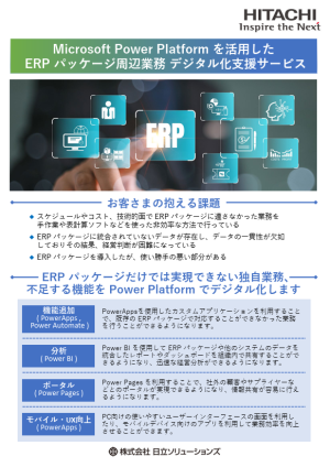 Microsoft Power Platform を活用した ERP パッケージ周辺業務 デジタル化支援サービス