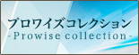 プロワイズコレクション -Prowise collection-