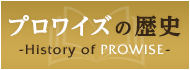 プロワイズウェブの歴史