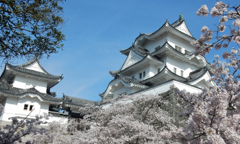 伊賀上野城（伊賀文化産業協会　提供）の画像
