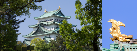 名古屋城と金の鯱の画像