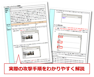 特長2 「これからどうすればよいか」が分かるWebアプリケーション診断報告書／イメージ
